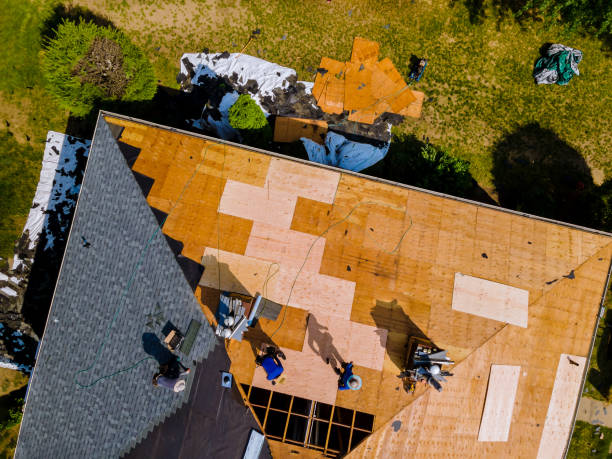 Best Emergency Roof Repair  in Tracy, MN