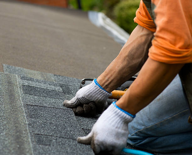 Best Slate Roofing Contractor  in Tracy, MN